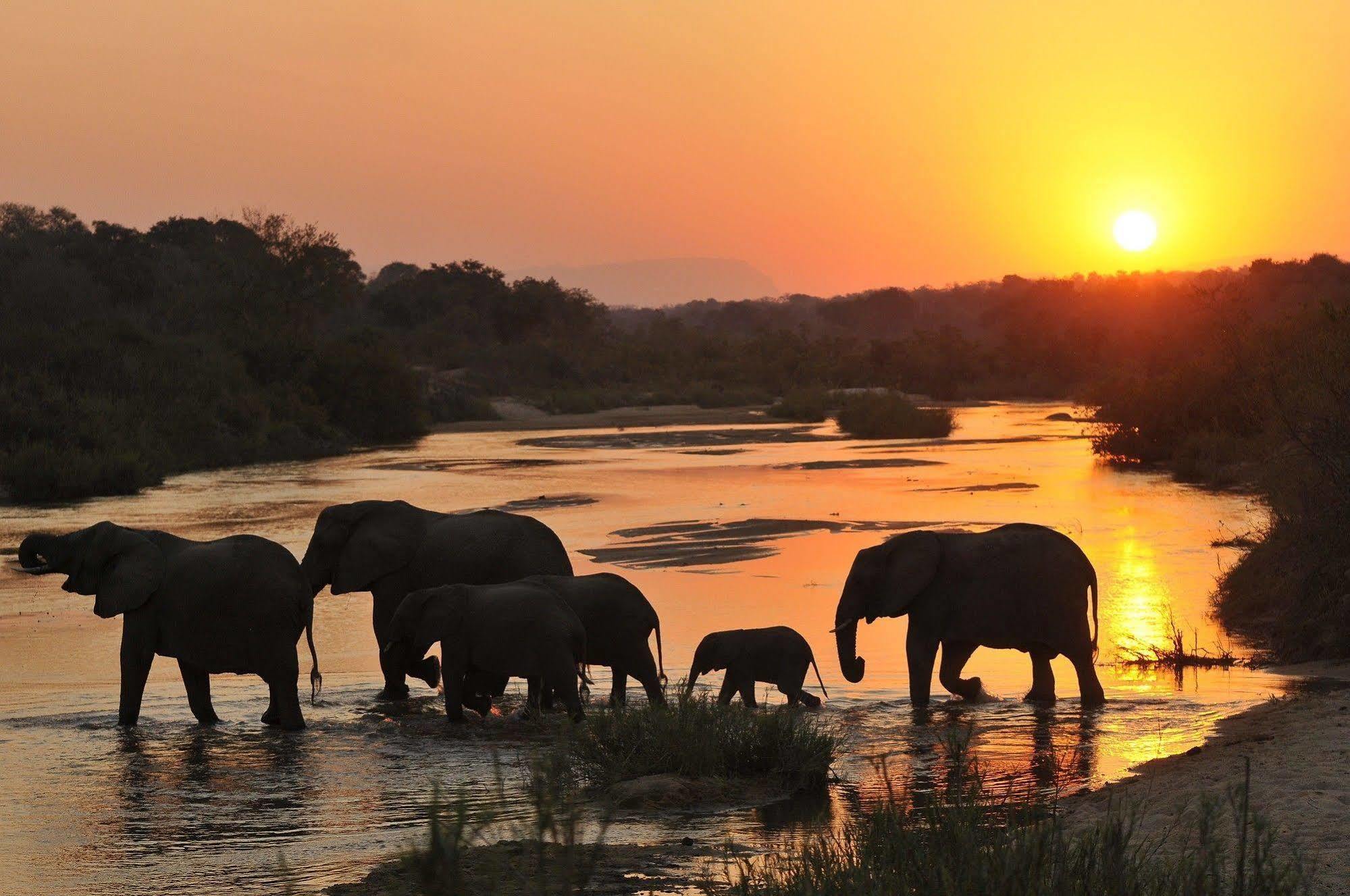 Inyati Game Lodge Metsi Exteriér fotografie
